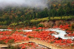 海螺壹號-木格措、瀘定橋、紅石公園、磨西古鎮(zhèn)3日游